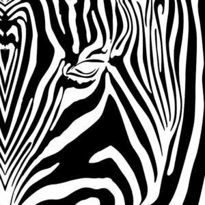 Nail Hug Eye Of The Zebra