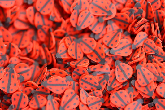 LADYBUG FIMO PIECES - Unicorn Lab