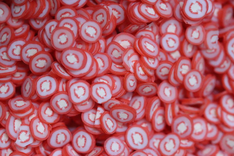 TOMATO FIMO PIECES