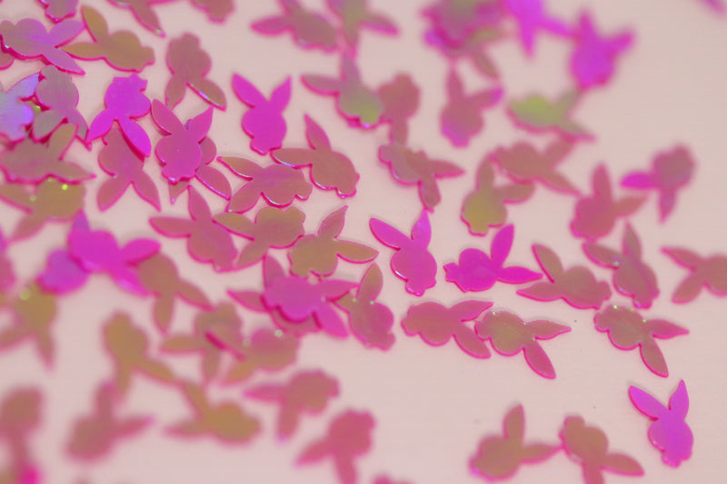 Fuschia bunny Glitter