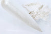 Satin Pigment 5gram