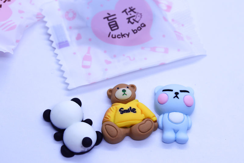 Mystery Charm Bag  x5