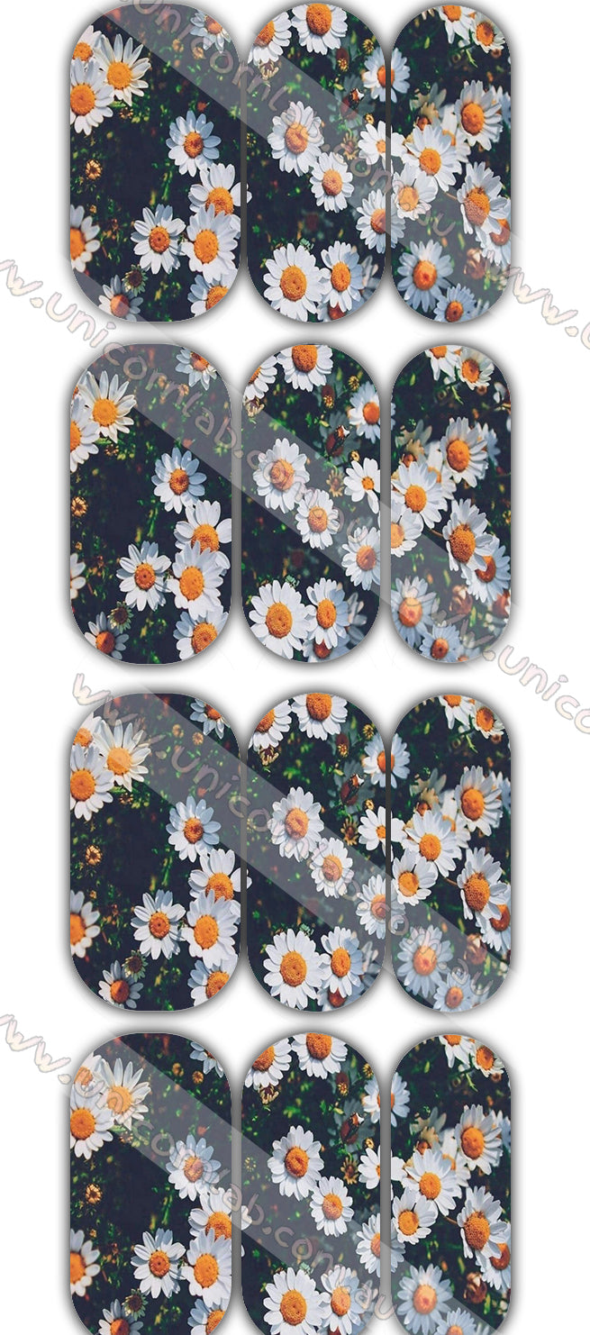 Daisy Waterslide Decals